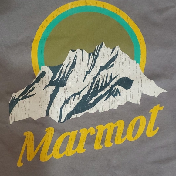 Marmot T-shirt firm price - Picture 2 of 4
